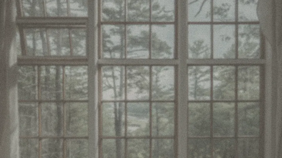 Windows before and after cleaning, before