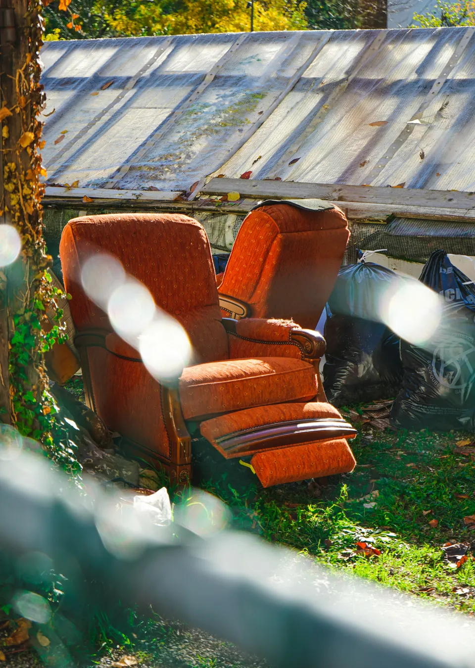 Junk removal work