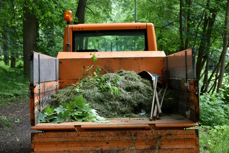 Junk removal work