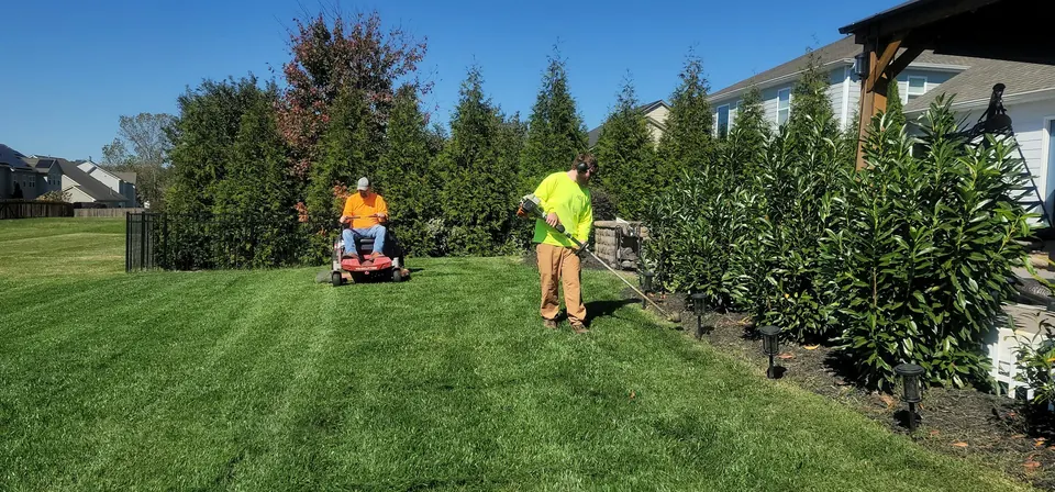 Landscaping work