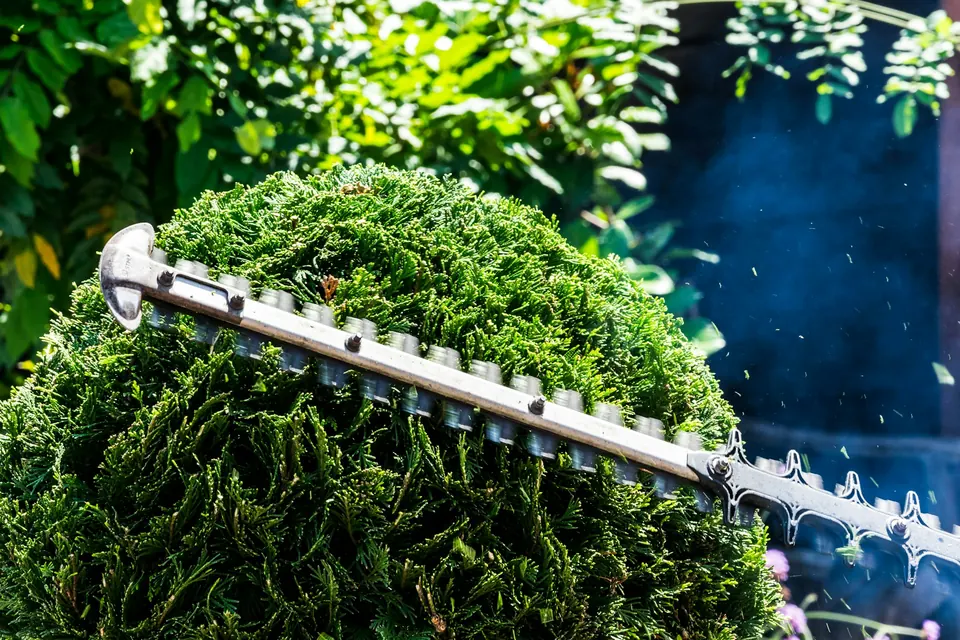 Landscaping work