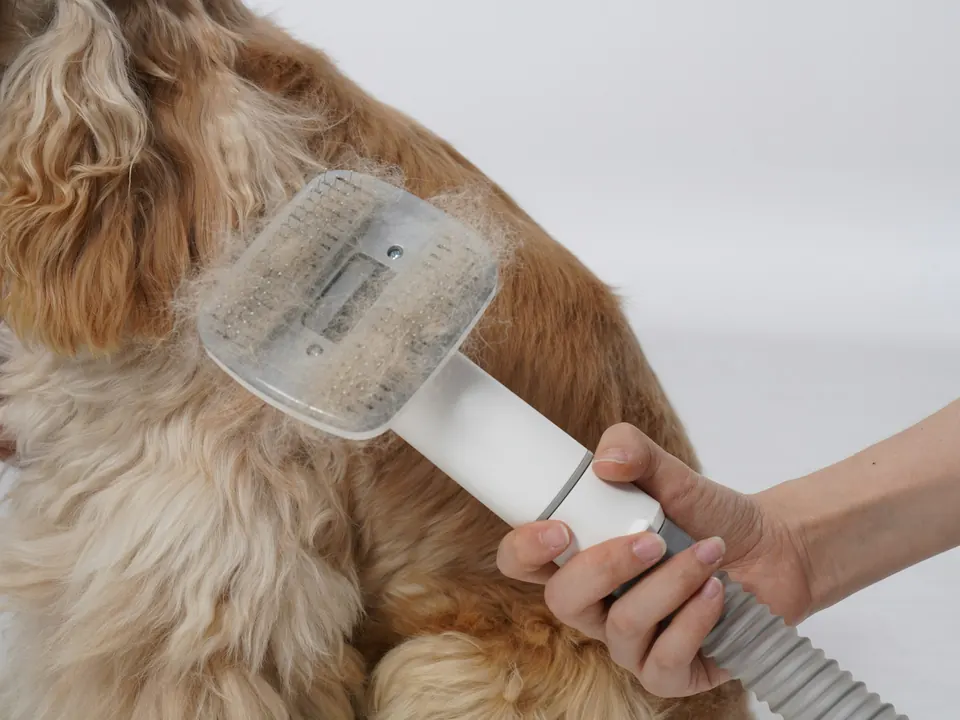 Pet grooming work