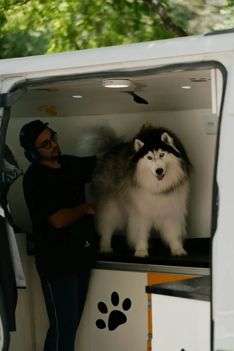 Pet grooming work
